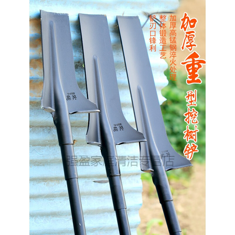洛阳家政行业:服务升级与市场前景